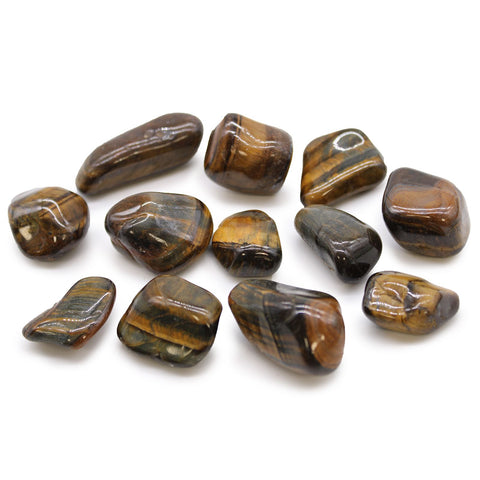 Medium African Tumble Stones, Tigers Eye, Varigated, brown and gold striped polished stones on white