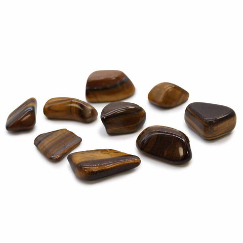 L Tumble Stones, Tiger Eye, Gold, a group of polished brown and gold stones on white
