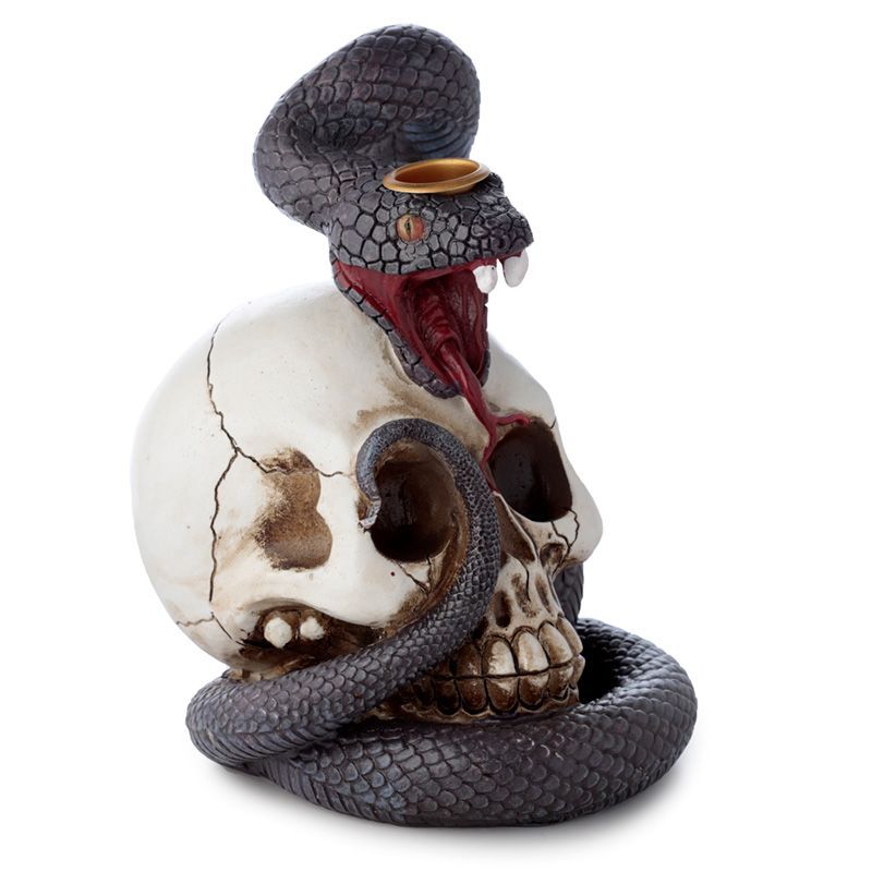 Snake and Skull Backflow Incense Burner, dark scaled snake coiled around a cracked skull, front three-quarter view