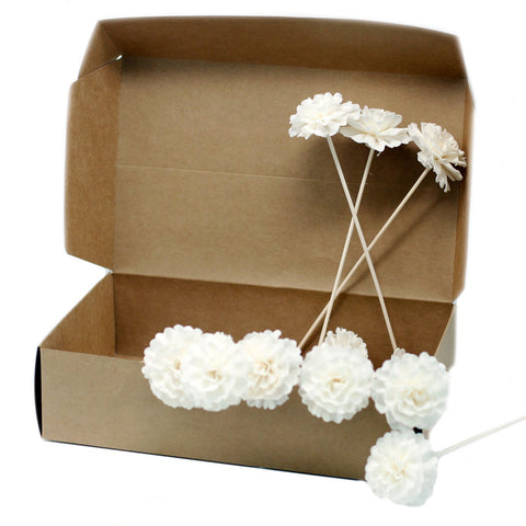 Natural Diffuser Flowers, white carnation flowers on pale reeds arranged across an open brown cardboard box
