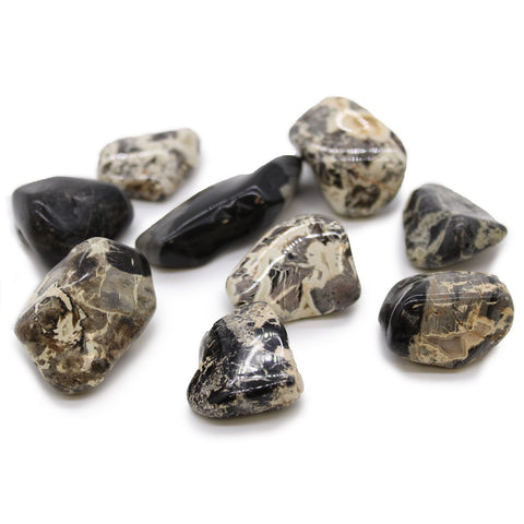 XL Tumble Stones, Jasper, Silverleaf, mottled cream, brown and black polished stones arranged on white