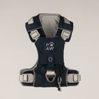Front view of the harness showing its straps, fastenings and charm