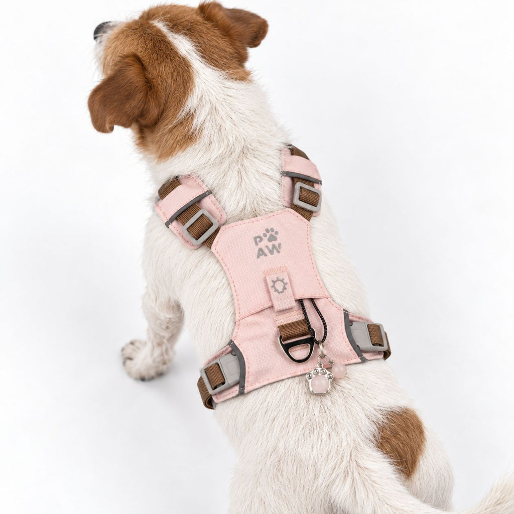 Small dog wearing the soft pink harness