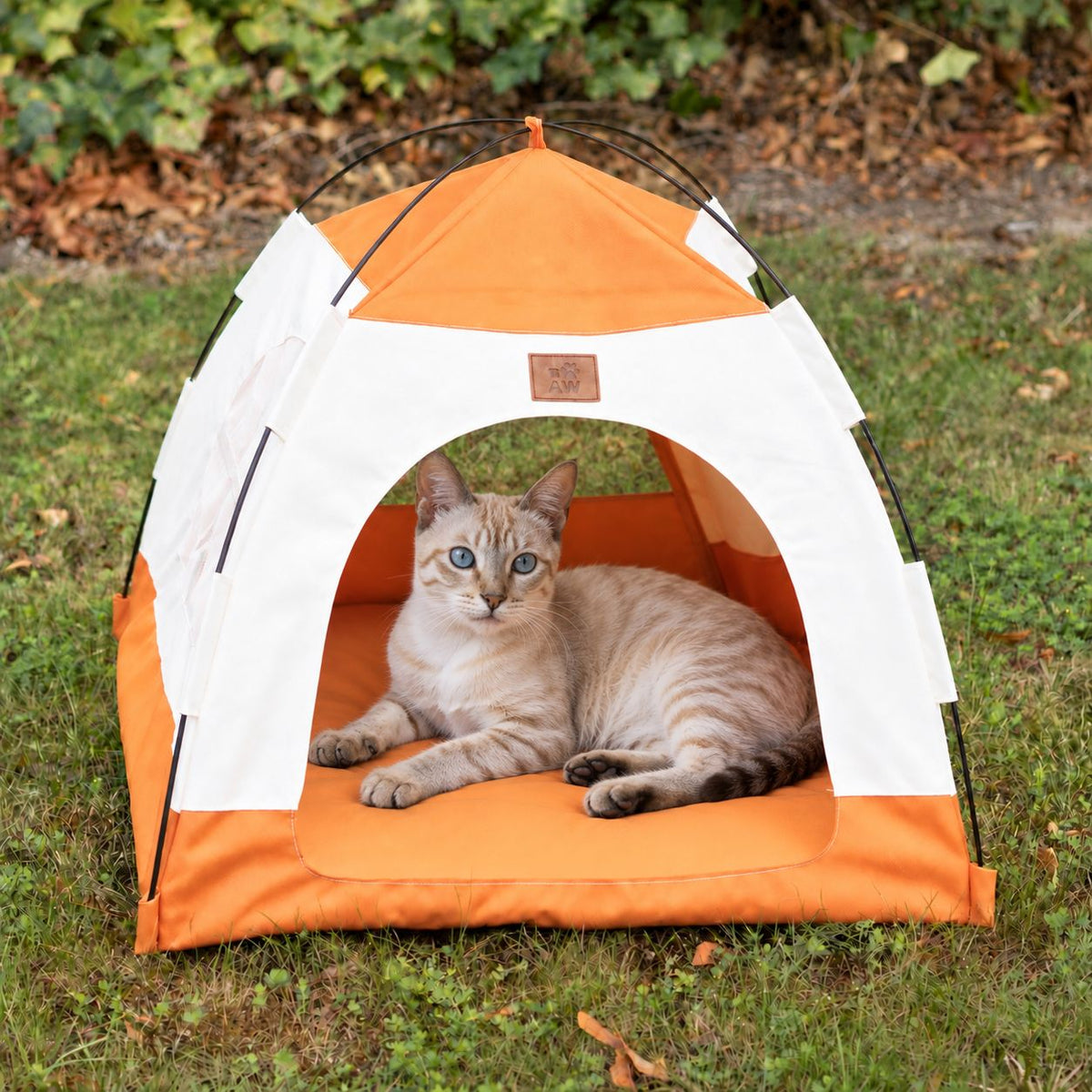 PAW tent bed with a cat resting inside