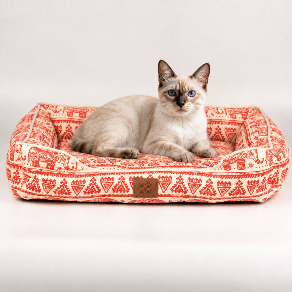 Cat resting on the red and cream printed bed
