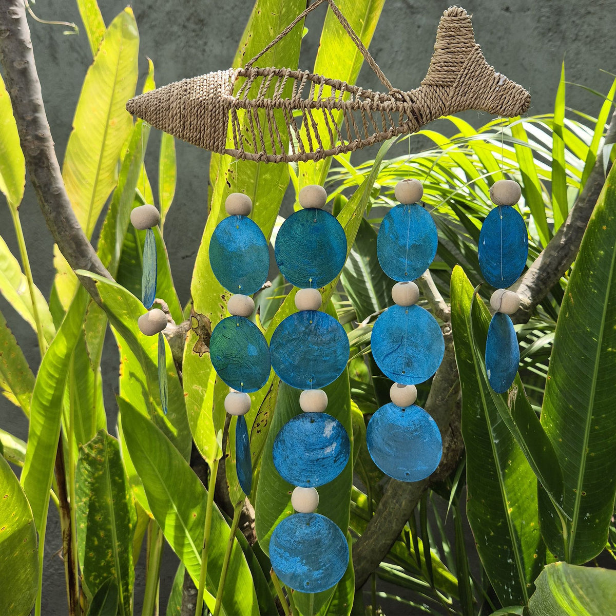 String Fish and Blue Copis Drop