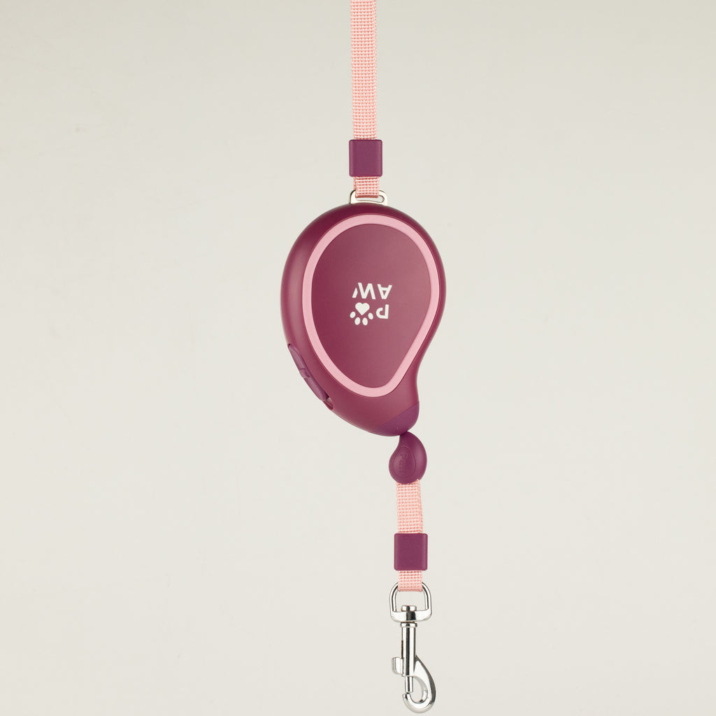 Paw Mini Mango lead with plum casing, pink tape and metal clip