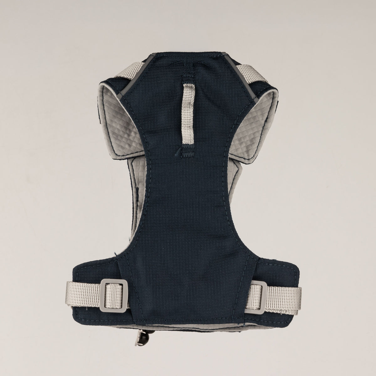 Back view showing the harness straps and fastenings