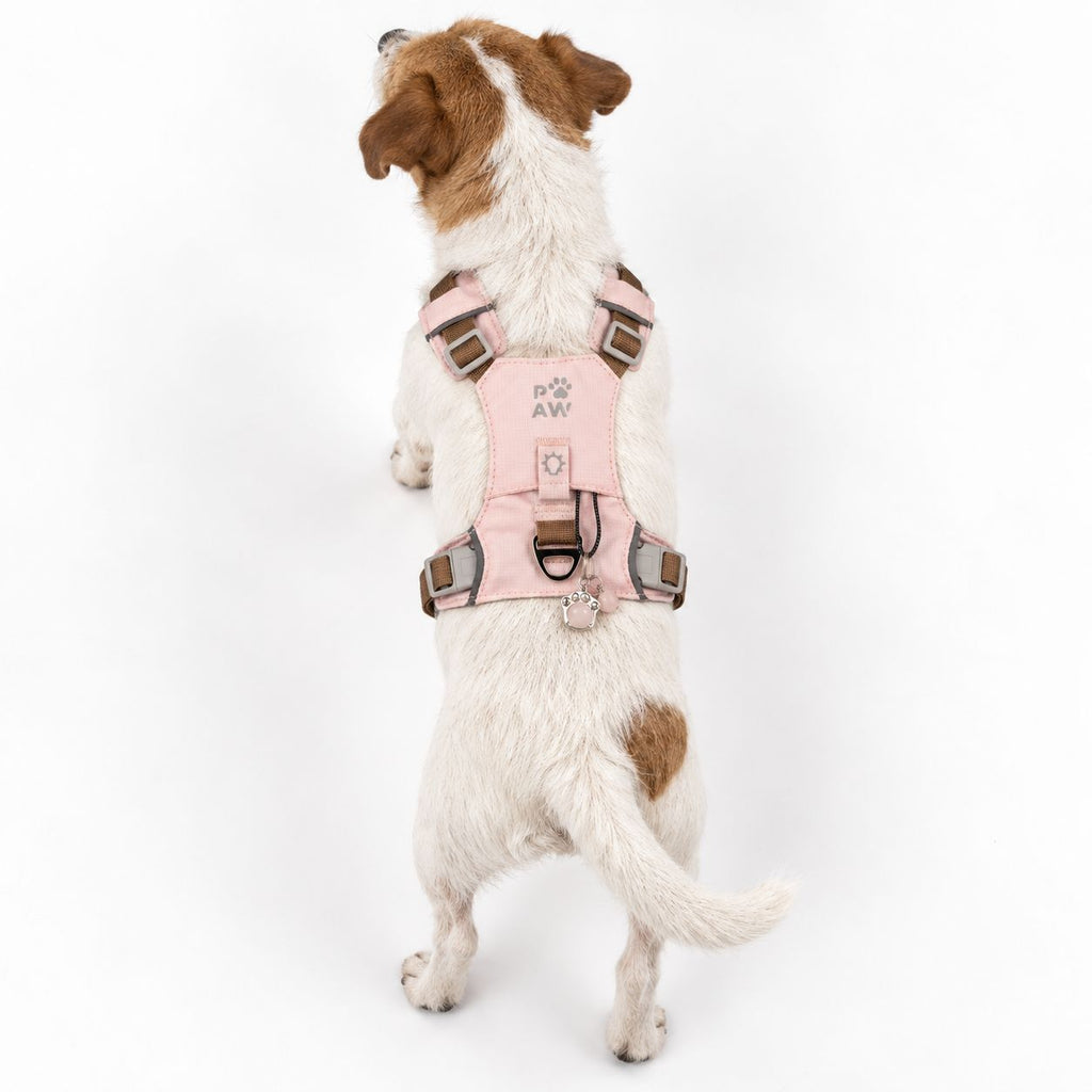 Rear view of a dog wearing the soft pink harness
