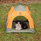 Green and orange tent bed with a cat inside