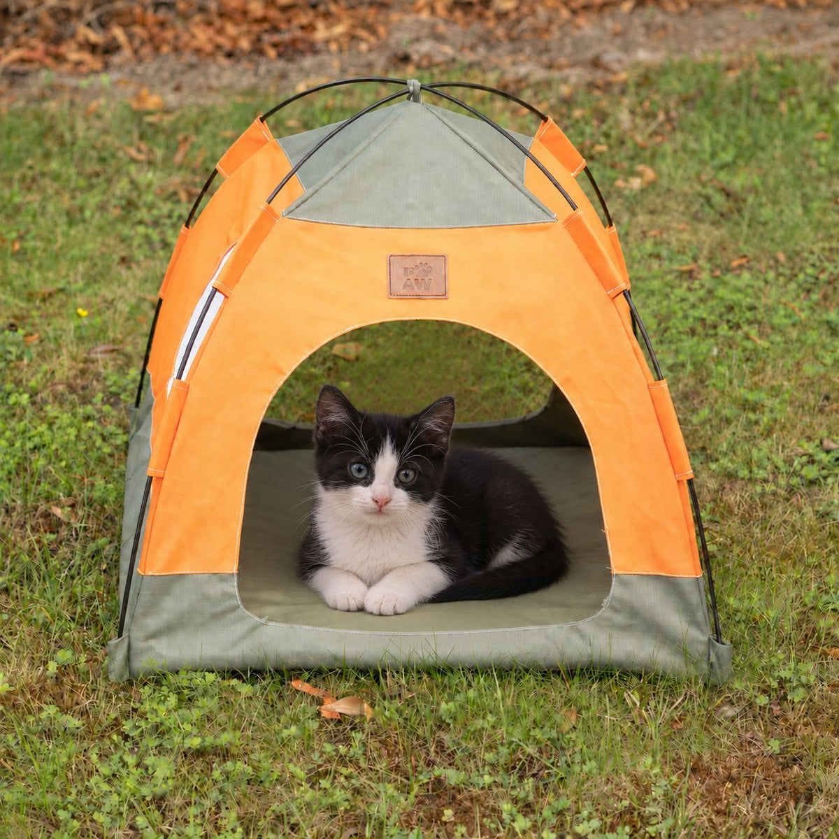 Green and orange tent bed with a cat inside
