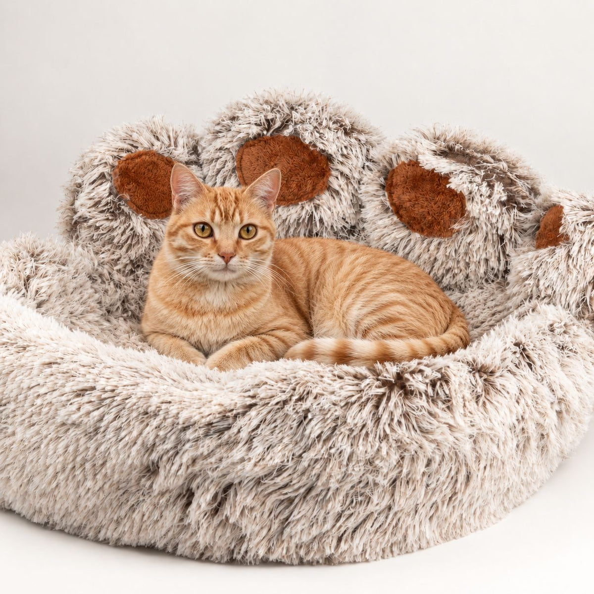 PAW large paw-shaped bed with a cat resting in the centre