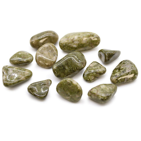 Medium African Tumble Stones, Epidote Snowflake, glossy olive green and cream stones on a white background