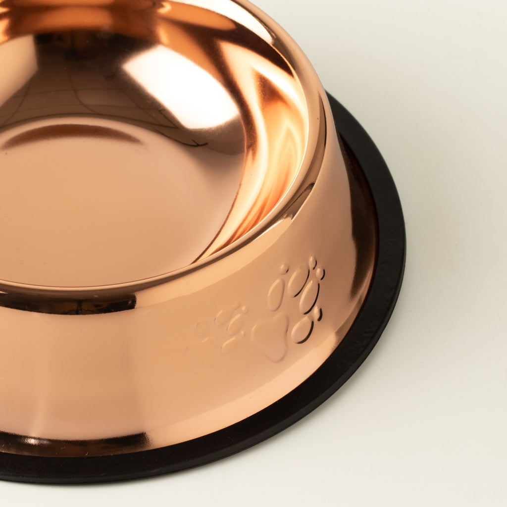 Close-up of the bowl's paw print embossing and black edge