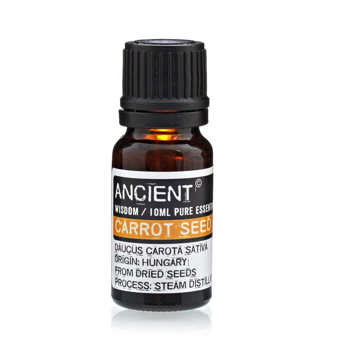 10 ml Carrot Seed Essential Oil in a dark amber bottle with a black ribbed cap, front label visible