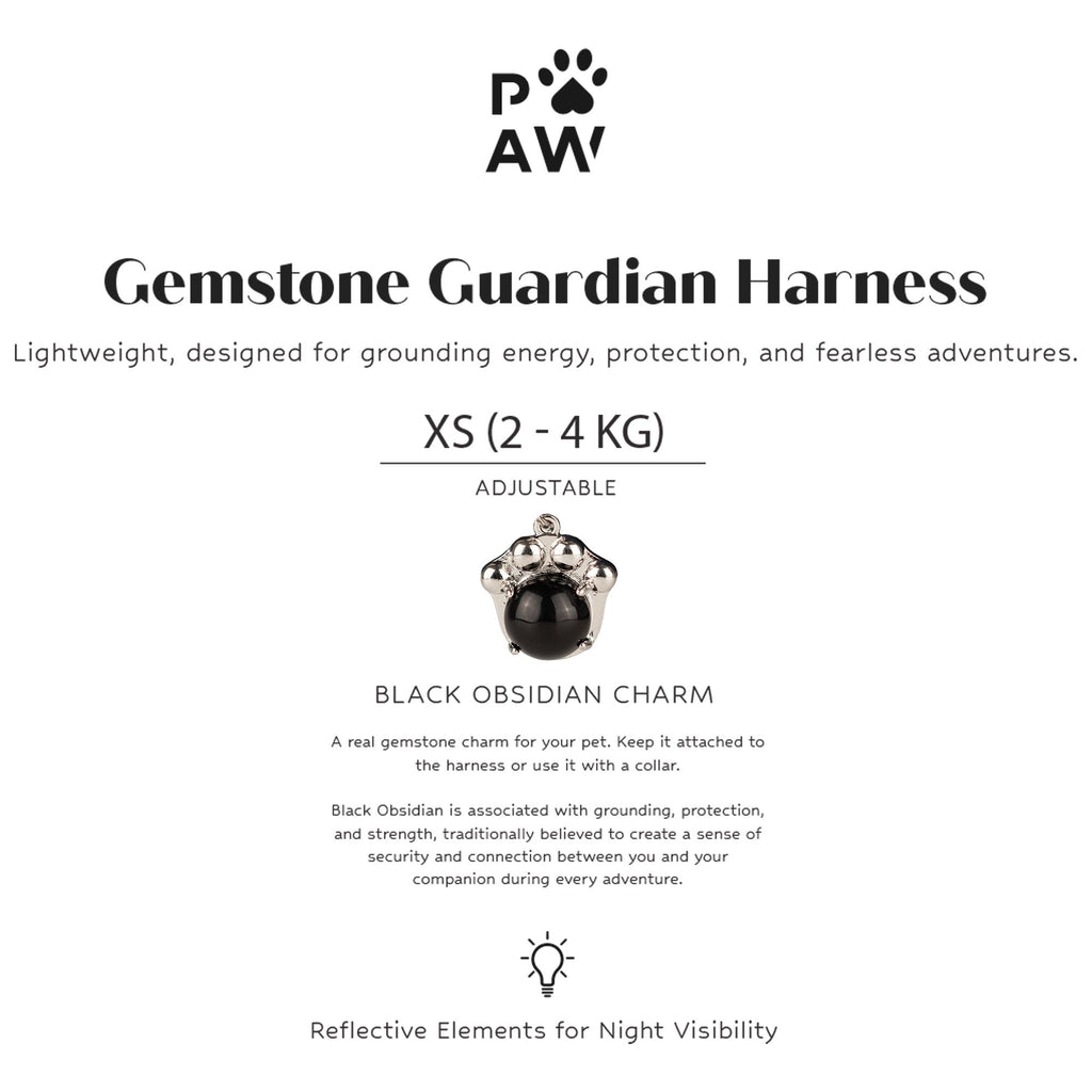 Harness feature card showing the XS size and charm