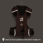 Harness reflective elements shown in low light