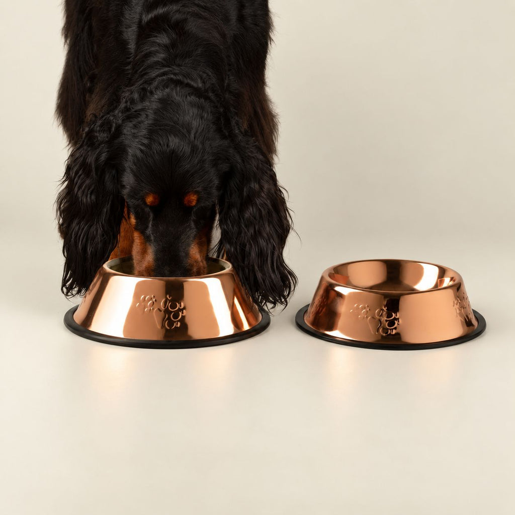 Two copper-style pet bowls beside a dog eating