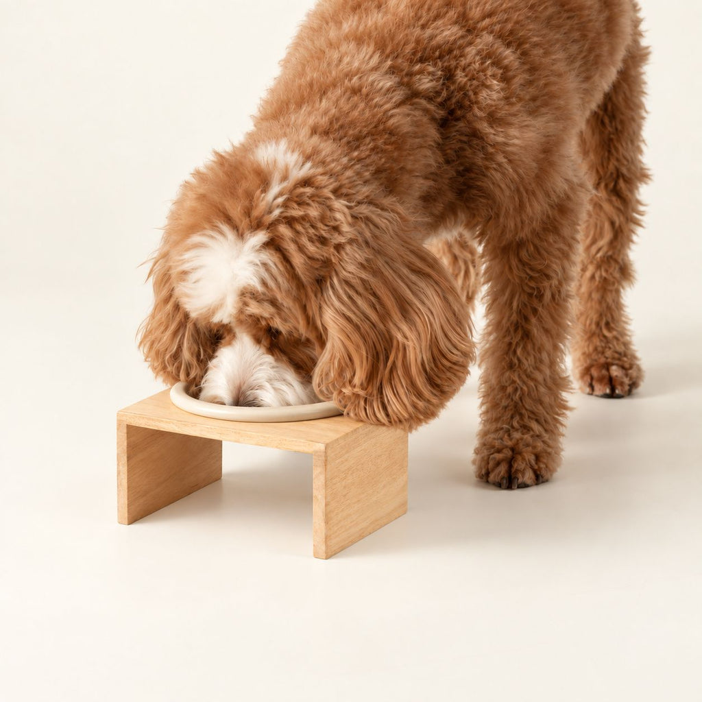 Dog eating from the cream bowl in its wooden stand