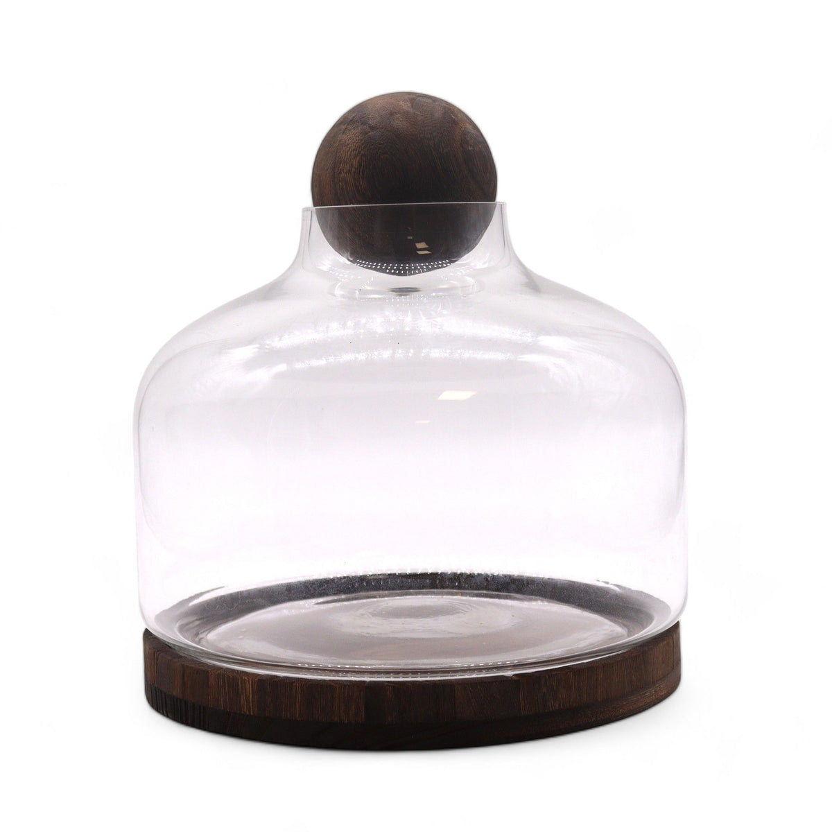 Ball top terrarium shown from the front on a plain white background, with its dark wooden base