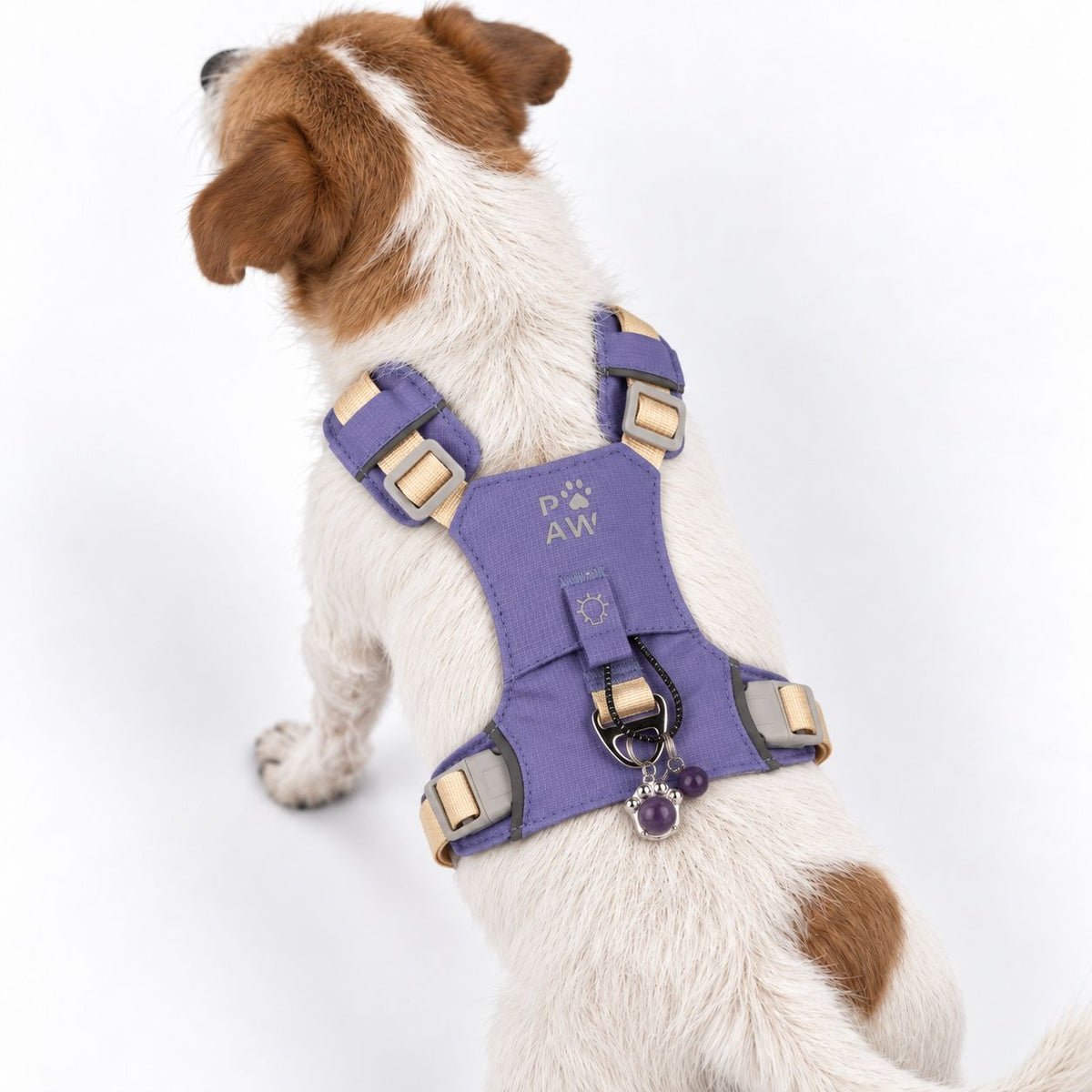 Lavender harness fitted on a small dog, viewed from behind