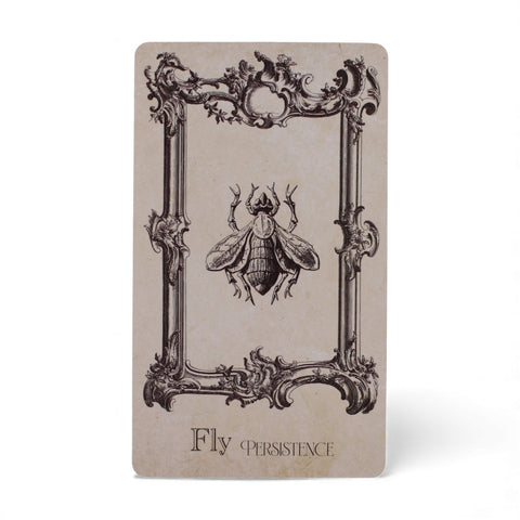 The Spellbook Oracle Cards, beige card with an ornate frame and a fly illustration, shown upright