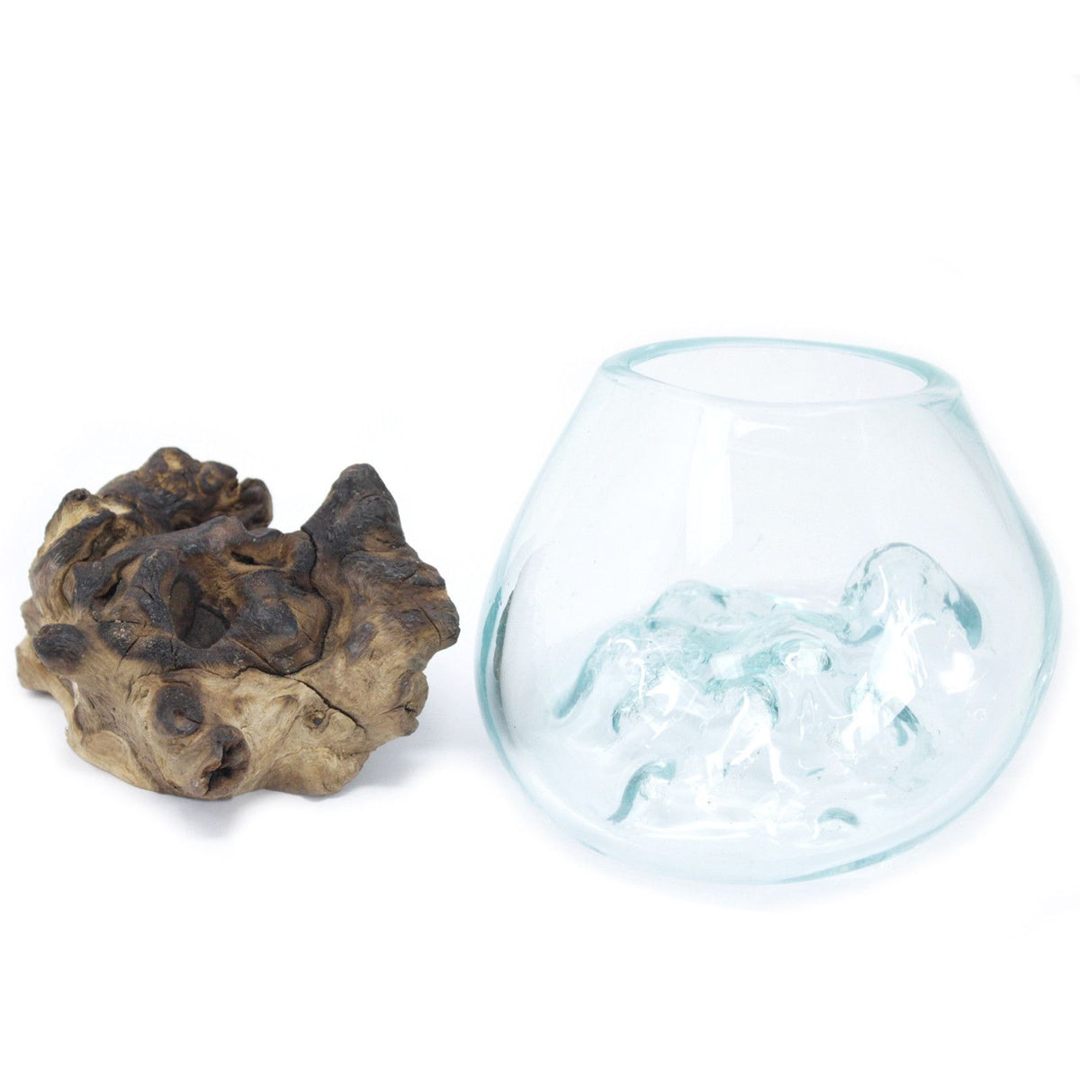Molten Glass on Wood, Small Bowl, clear glass bowl and separate piece of knotted wood on white