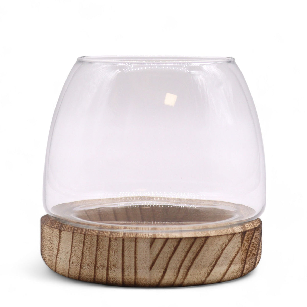 Small terrarium shown alone against a plain white background, with a clear glass dome and wood base