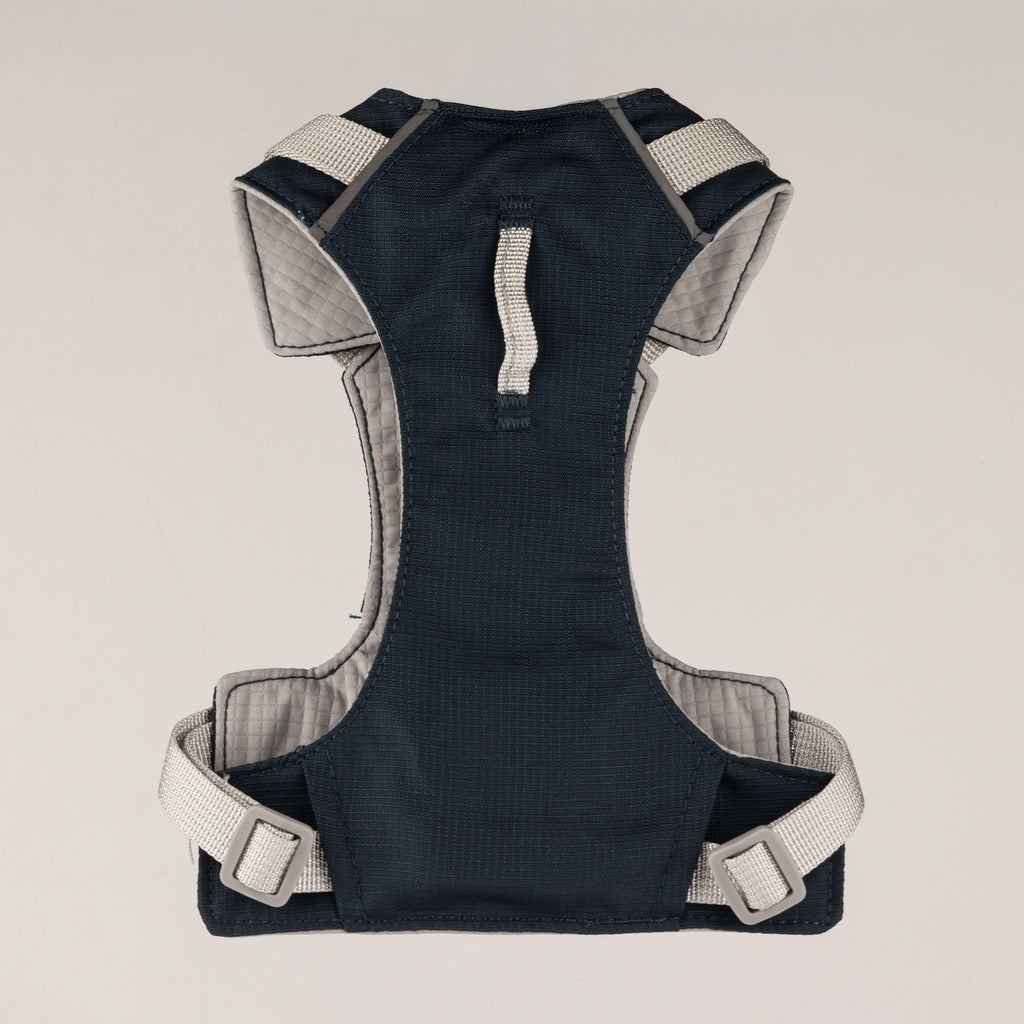 Back view of the harness and its adjustable straps