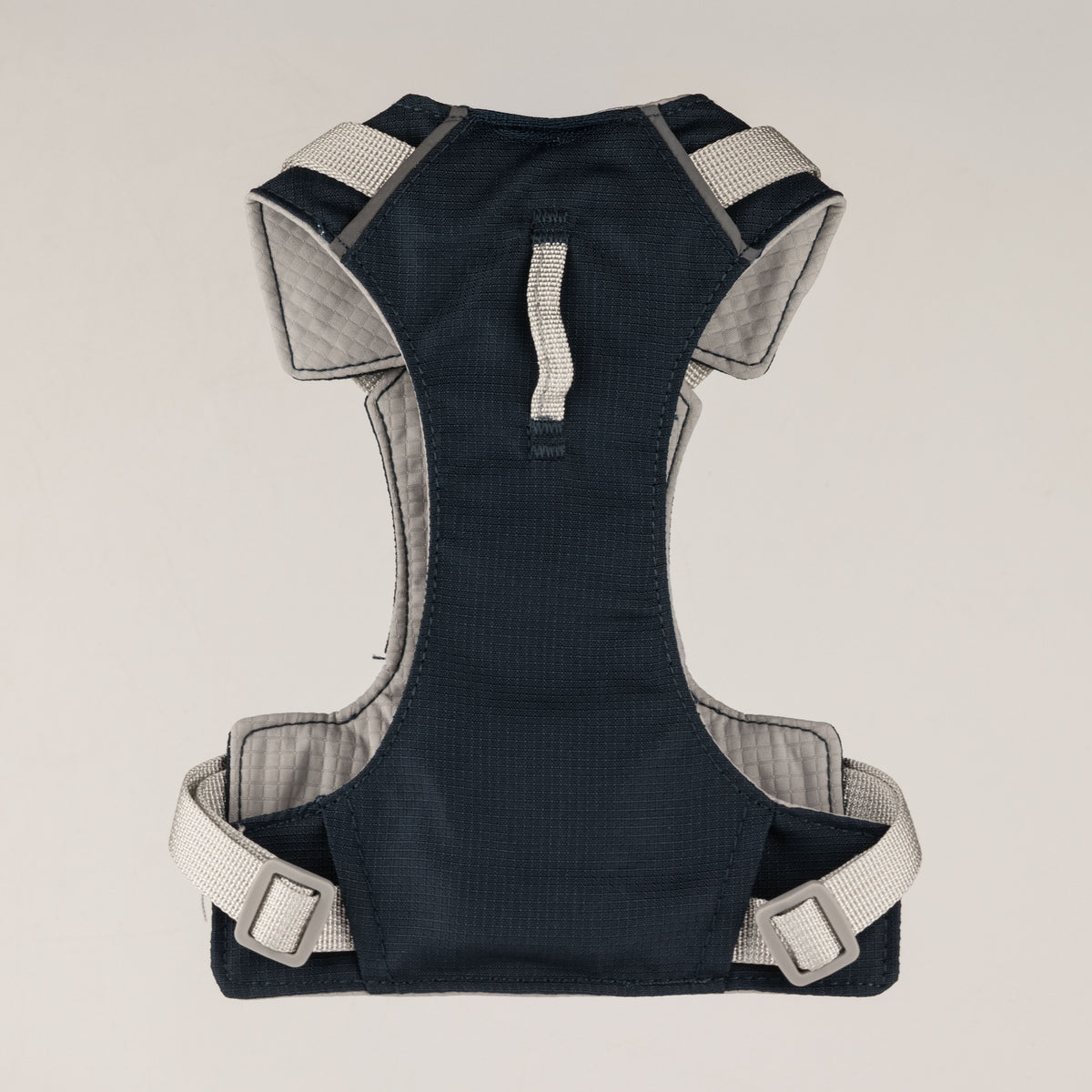 Back view of the harness and its adjustable straps