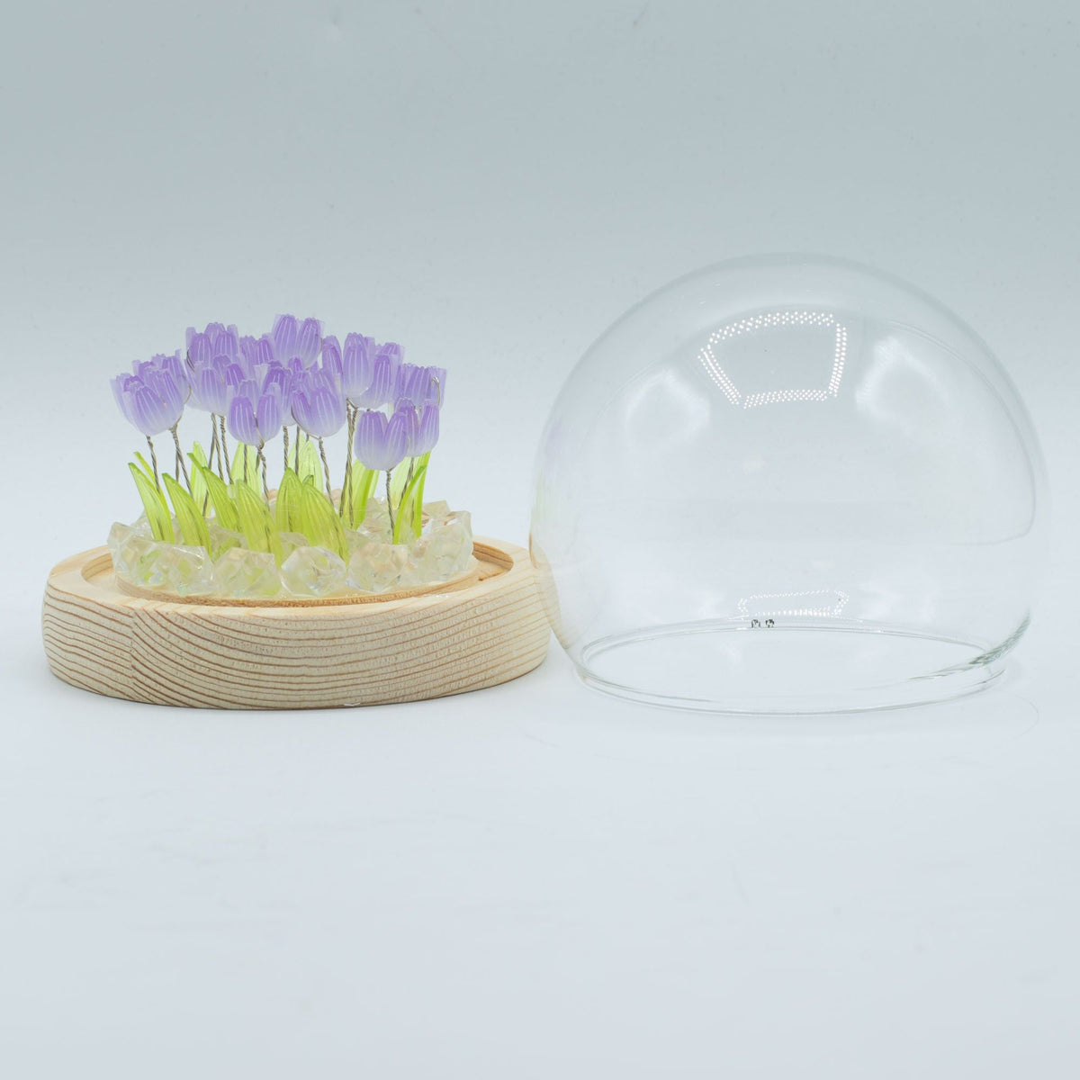 Garden dome with purple tulips on a wooden base beside its clear glass cover