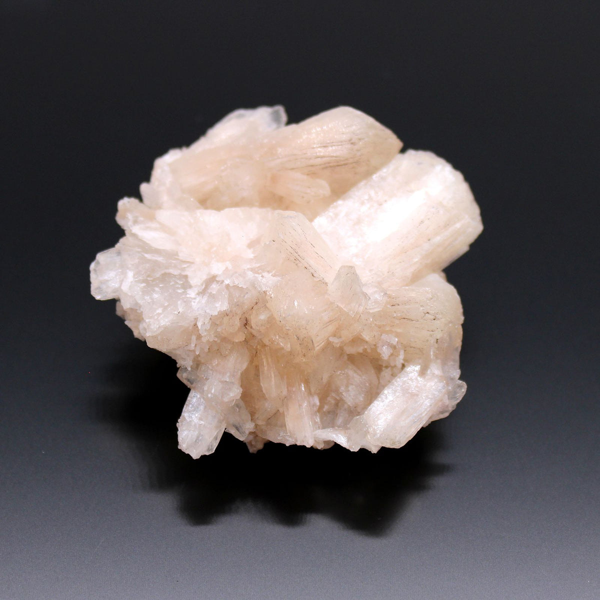 Pale blush mineral cluster shown alone against a dark background, with ridged crystal blades