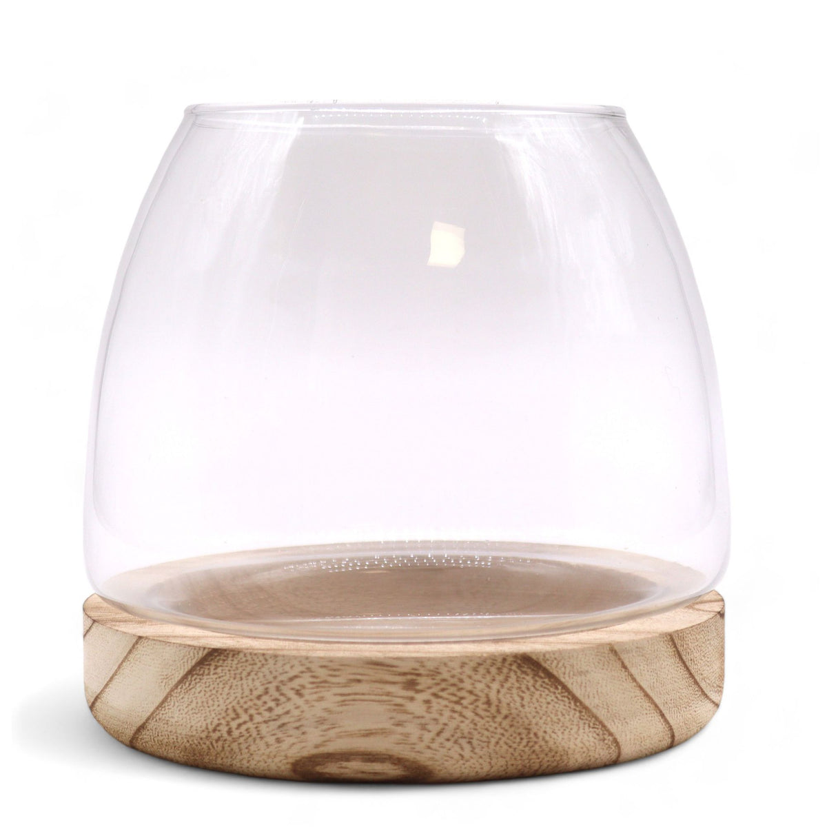 Medium Terrarium on Natural Tung Wood, clear glass bowl on a round pale wood base, front view
