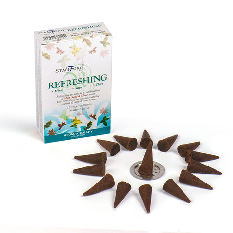 Refreshing cones in a printed white box, with dark brown cones arranged around a metal holder
