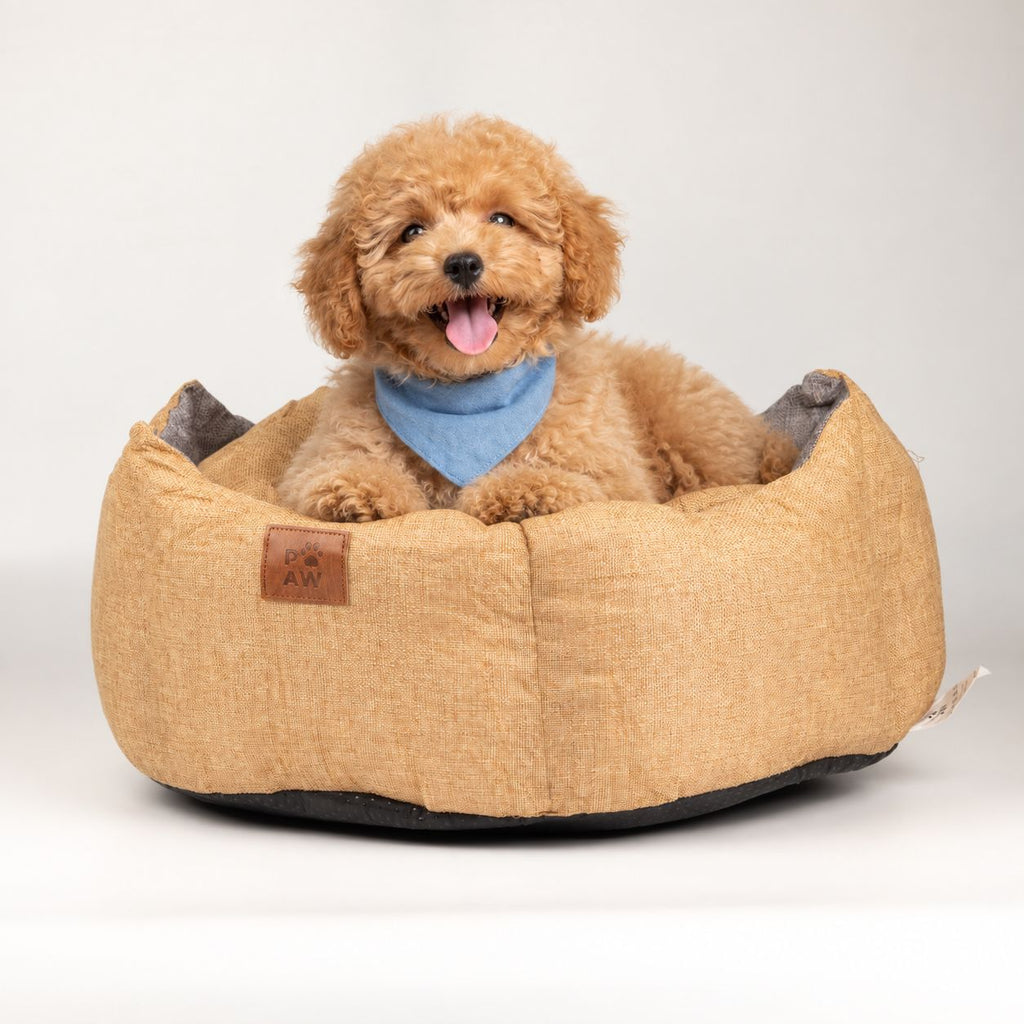 Paw Bed with a dog sitting inside its sand-coloured raised sides