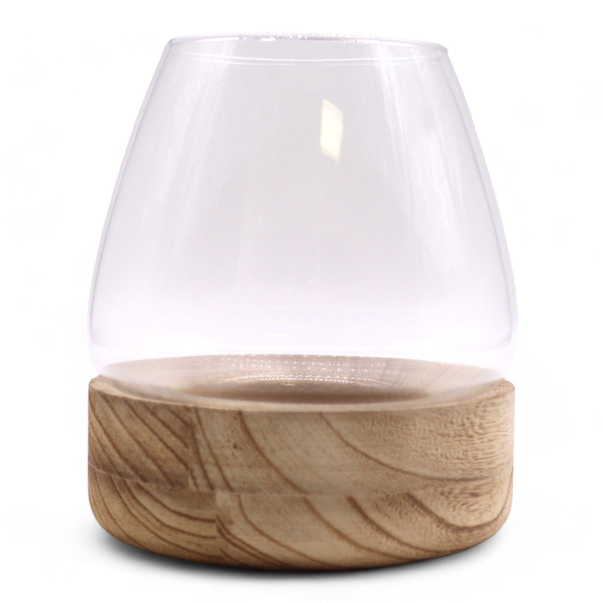 Large Terrarium on Natural Tung Wood, front view of the clear glass bowl and wooden base against white