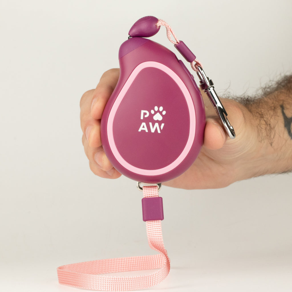 Hand holding a purple retractable lead with wrist strap and metal clip