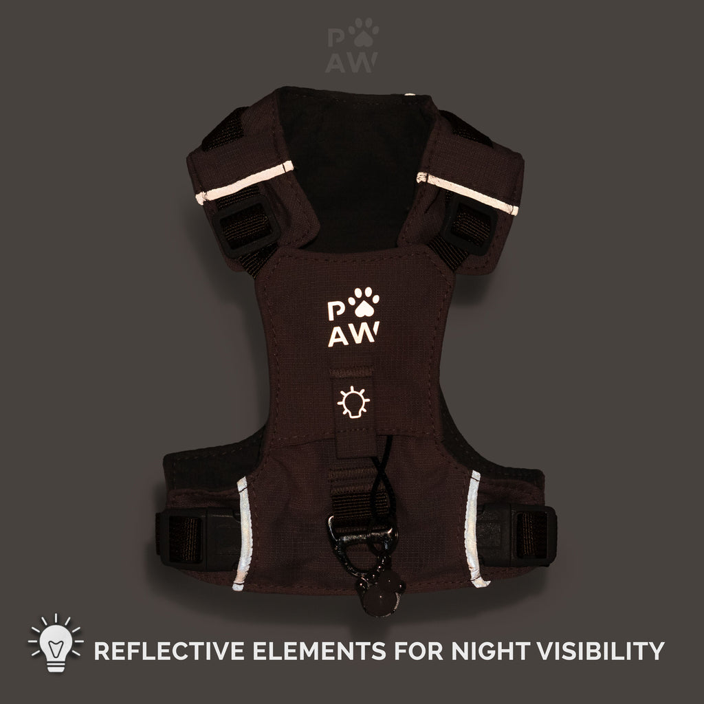 Harness reflective details shown in low light