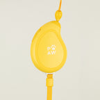 Yellow mango-shaped lead casing shown from an angle