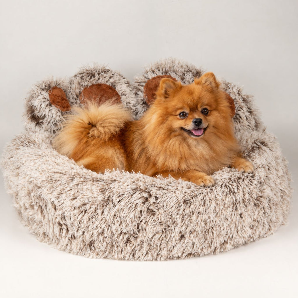 PAW Big Paw pet bed with a dog resting in its raised sides
