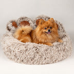PAW Big Paw pet bed with a dog resting in its raised sides