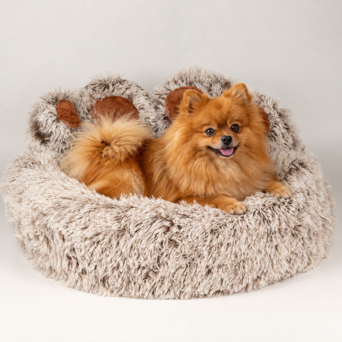 PAW Big Paw pet bed with a dog resting in its raised sides