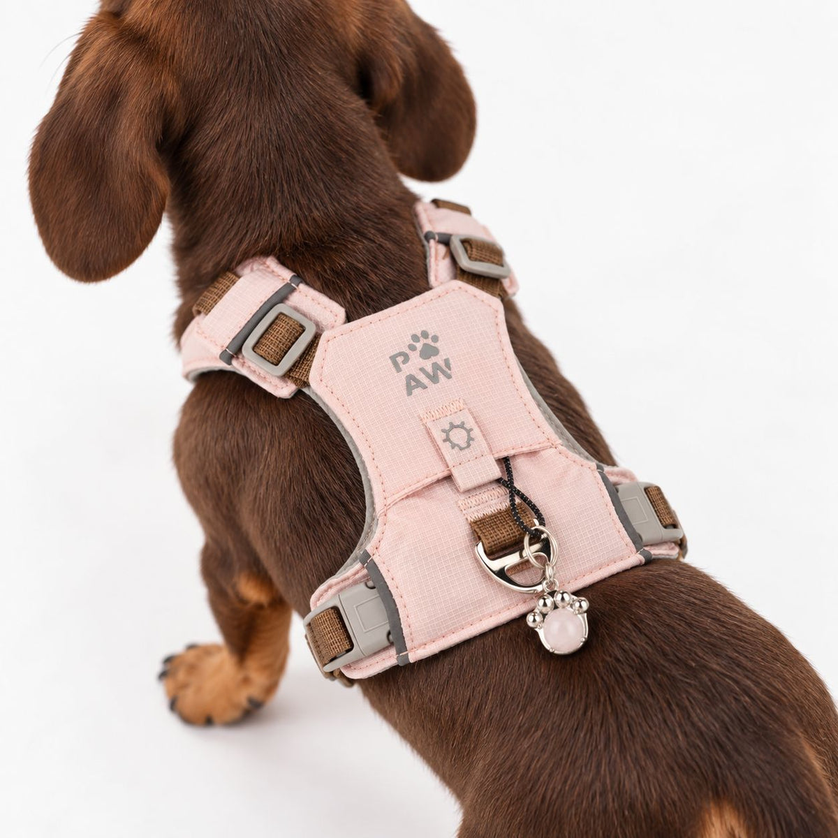Small dog wearing the soft pink PAW harness, viewed from behind