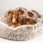 PAW large paw-shaped bed with dog resting in the plush centre