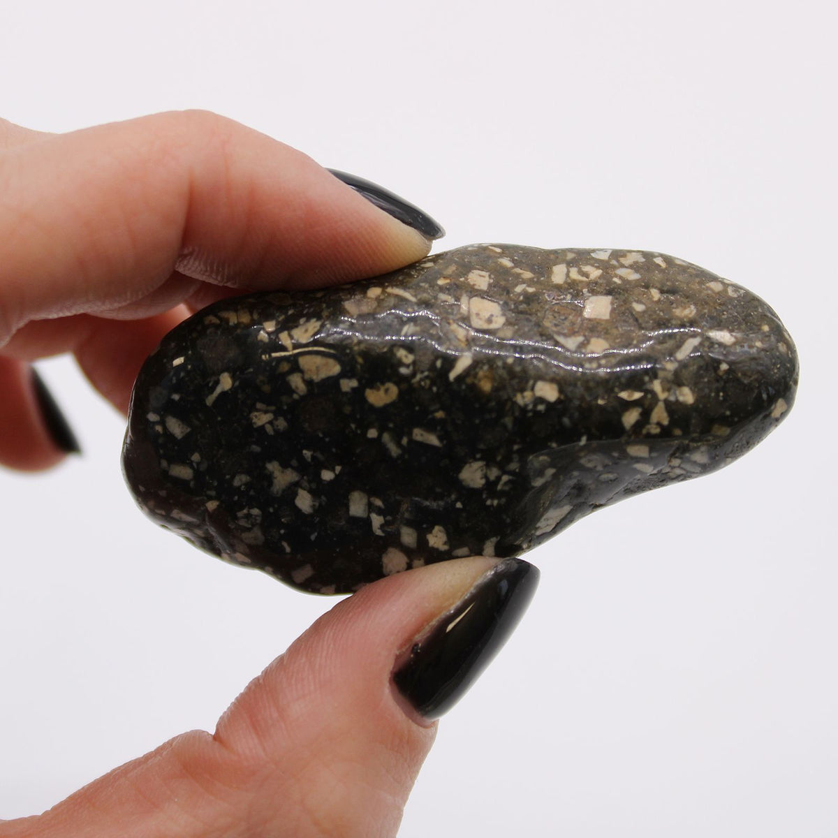 Large African Tumble Stones, a dark polished stone with pale flecks held between fingers