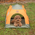 PAW green and orange tent bed with a dog inside