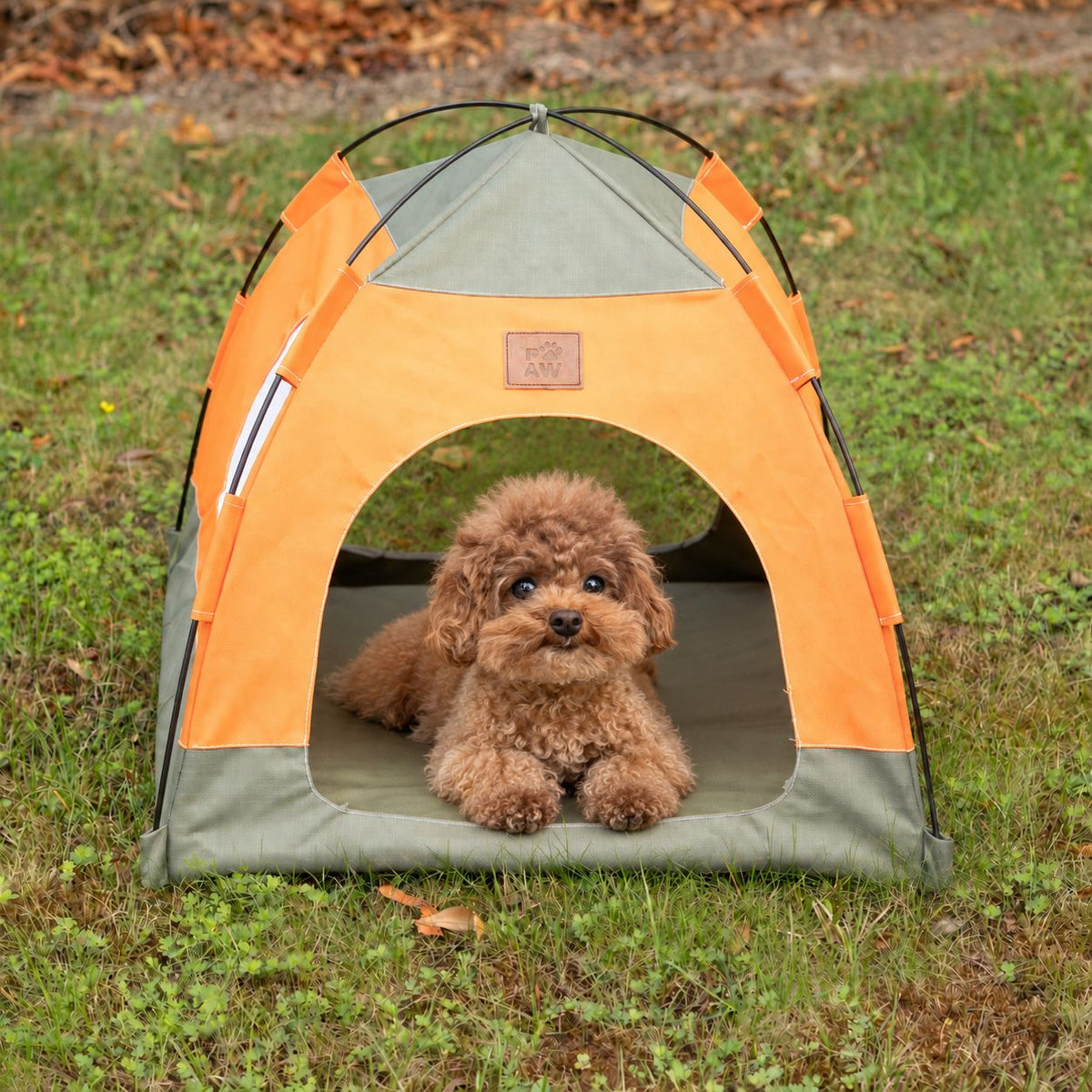 PAW green and orange tent bed with a dog inside