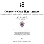Harness size guide showing XS for 2 to 4 kg dogs