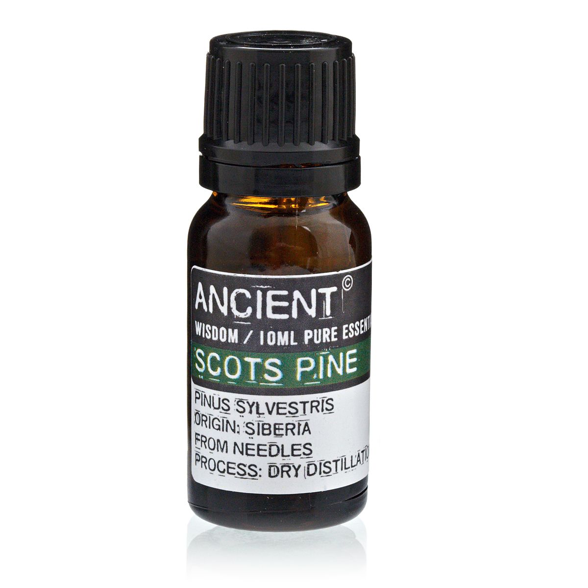 10 ml Pine Sylvestris (Scots Pine) Essential Oil in a dark amber bottle with a black cap, front view