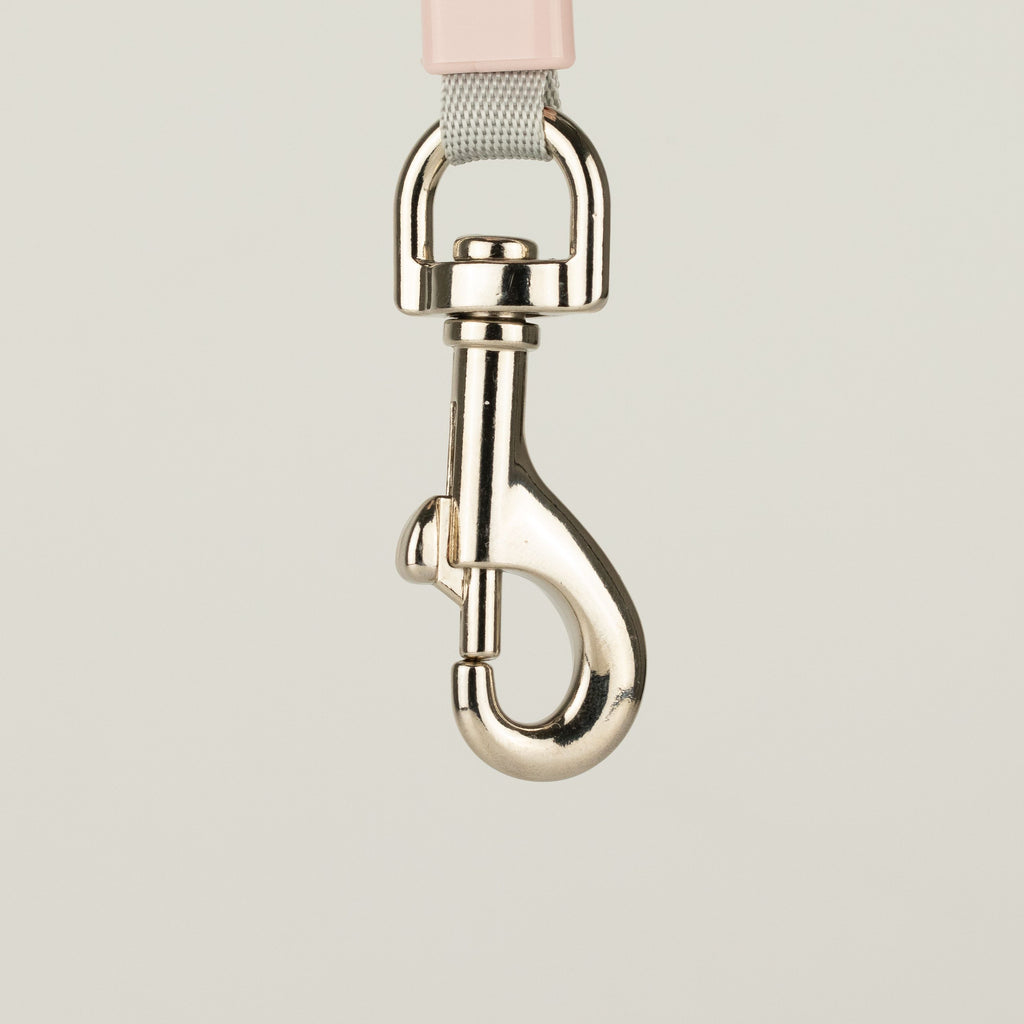 Close-up of a metal lead clip